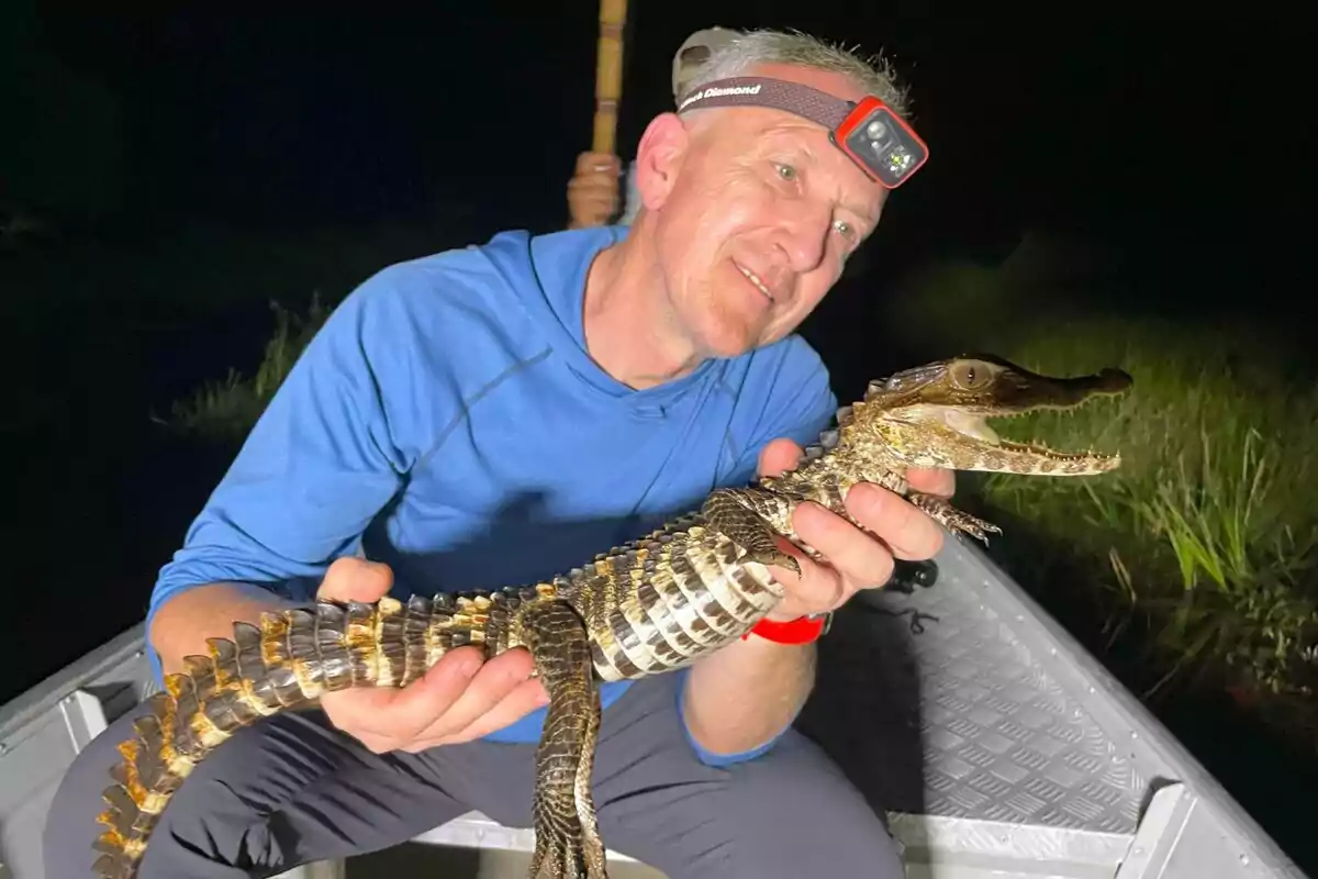 Kike Calleja con linterna en la cabeza sostiene un pequeño caimán mientras está sentado en una lancha durante la noche en Río Salvaje Kike Calleja con linterna en la cabeza sostiene un pequeño caimán mientras está sentado en una lancha durante la noche en Río Salvaje