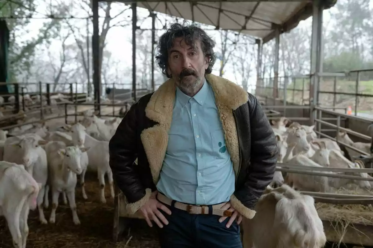 Luis Zahera de cabell arrissat i barba amb jaqueta de borrego i camisa blau clar dret en un estable envoltat de cabres blanques a la sèrie Animal. Luis Zahera de cabell arrissat i barba amb jaqueta de borrego i camisa blau clar dret en un estable envoltat de cabres blanques a la sèrie Animal.