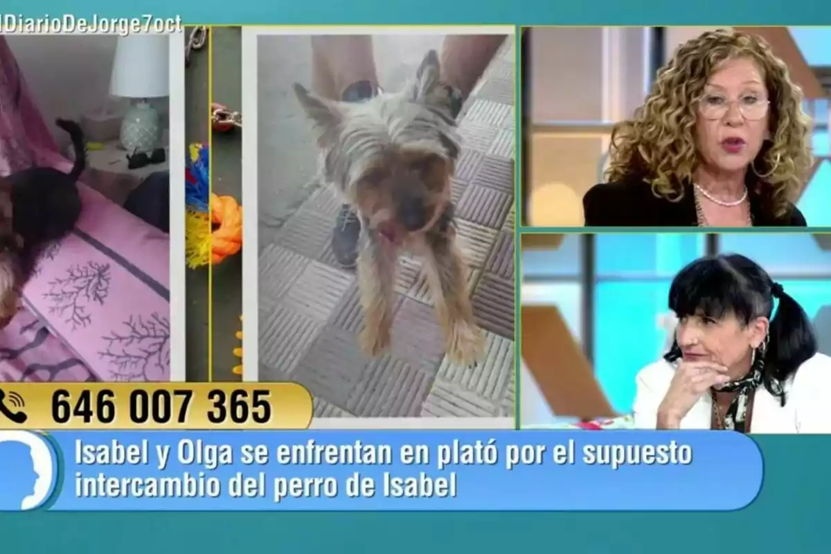Captura de Isabel y Olga en 'El Diario de Jorge' Captura de Isabel y Olga en 'El Diario de Jorge'