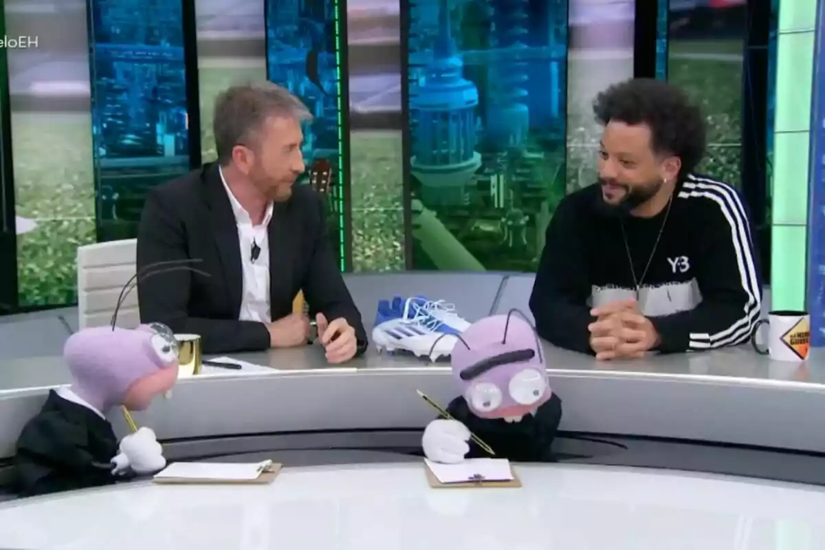 Pablo Motos y Marcelo conversan en 'El Hormiguero' mientras las dos hormigas están en la mesa con libretas y un par de zapatillas deportivas. Pablo Motos y Marcelo conversan en 'El Hormiguero' mientras las dos hormigas están en la mesa con libretas y un par de zapatillas deportivas.